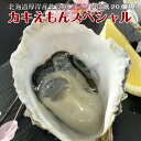 北海道厚岸産ブランド牡蠣 カキえもんスペシャル ナイフ1本付き