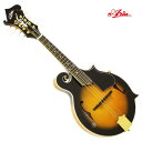 ARIA/フラットマンドリン Mandolin AM-40【アリア】【送料無料】【楽器de元気】