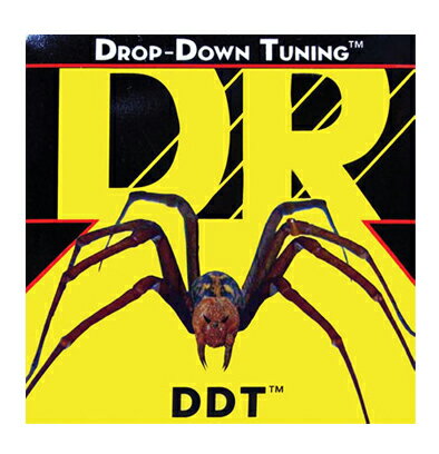 DR/DDT（Drop-Down Tuning） Guitar Strings【8/17 09:59までランク別ポイント最大10倍開催中！】