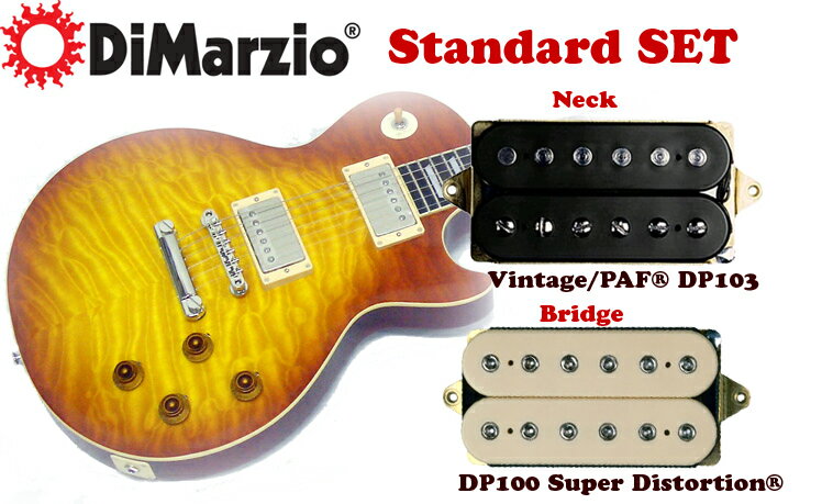 Dimarzio ( ディマジオ ) Standerd Set【DP-103・DP-100】【トーカイギター同時購入限定プライス・ピックアップ交換料金も無料です。】