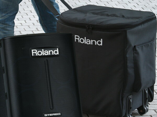 Roland (  ) BA-330 ѥ( CB-BA330 )å  ʰ PAå  ѥΥå  ̵ ϡ ߸ˤޤ ϡsmtb-kۡw3