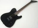 FERNANDES ( フェルナンデス ) TEJ-STANDARD SH(BLK)【エレキギター】