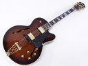 Ibanez ( アイバニーズ ) SJ300(DVS)【 フルアコ エレキギター ハードケース付属】