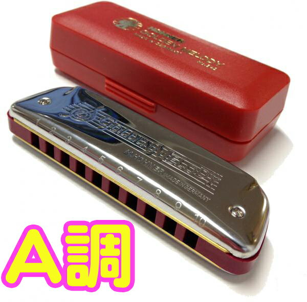 HOHNER ( ホーナー ) 特価 ゴールデンメロディ 542/20 ブルースハープ 型…...:gakkiwatanabe:10051173