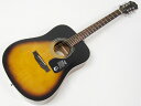 EPIPHONE ( エピフォン ) DR-100(VS) AGスタートパック10点セット【初心者 入門 アコースティックギター セット】 【by ギブソン アコースティックギター 】