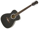 Legend ( レジェンド ) FG-15(BK) AGス...