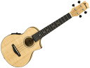 Ibanez ( アイバニーズ ) UEW12E【 コンサート エレクトリック ウクレレ 】【限定 プライスダウン 】