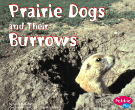 【英語の読み聞かせ・多読学習】小さな英語図鑑シリーズ−Animal　Homes Prairie Dogs and Their Burrows