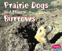 yp̓ǂݕEǊwKzȉp}ӃV[YAnimal Homes Prairie Dogs and Thei...