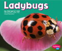 【英語の読み聞かせ・多読学習】小さな英語図鑑シリーズ?Bugs！　Ladybugs