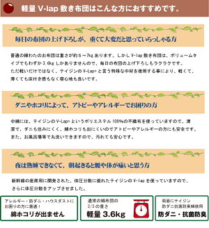 Vーlap軽量敷き布団シングル(100×200cm)(シングル)【送料無料】軽量帝人V-Lap敷布団テイジンV−Lap敷布団HK05-S軽量v-lap軽量敷き布団VLAP軽量敷布団テイジンV−Lap敷布団ブイラップ