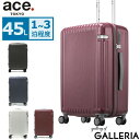 【セール30%OFF】 ノベルティ付 エース スーツケース ace. パリセイド2-Z Palisades2-Z キャリーケース ハード ace.TOKYO エーストーキョー ファスナー 45L 旅行 ダブルキャスター 静音 TSA 06725