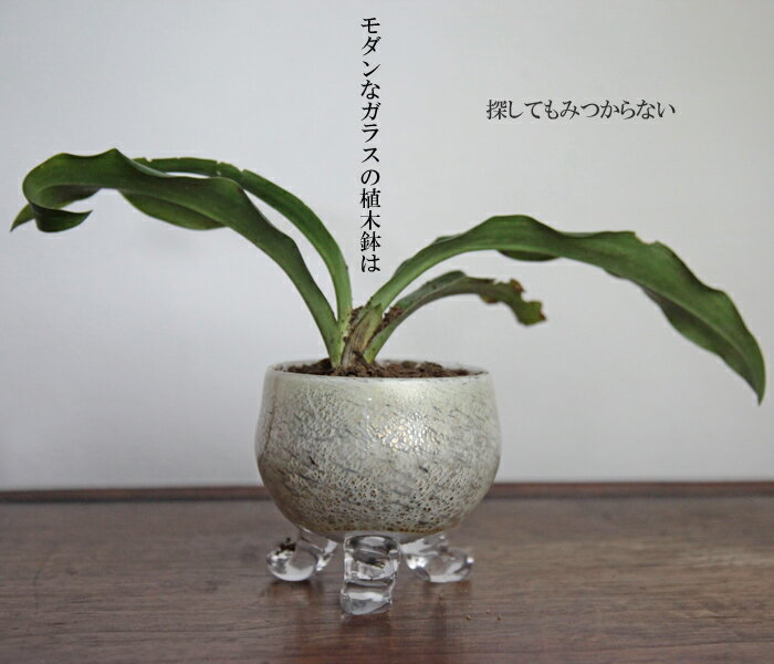 銀彩白硝子・丸鉢植木鉢・盆栽鉢・ガラス製の花器・花