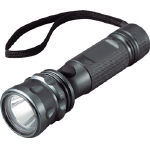 륫ӤλѤĹǽǤTRUSCOLED饤1W