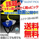 【2枚セットパック】驚異の弱音効果! スーパーサイレントピック N-2000 SUPER SILENT