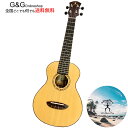 【あす楽】aNueNue aNN-ASR2 Sitka Rosewood II Concert Ukulele アヌエヌエ コンサート ウクレレ オール単板 モデル【送料無料】【smtb-KD】【RCP】:-as-p2
