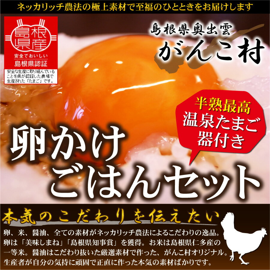 卵かけご飯セット【温泉卵器付き】（たまごL12個、平成28年産仁多米コシヒカリ2Kg、だし…...:gankomura:10000097