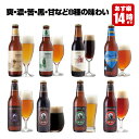 クラフトビール 8種 飲み比べセット＜パイナップルエール、湘