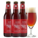 アップルシナモンエール 3本 お試し 詰め合わせ セット <焼きりんご500個を使用したフルーツビール クラフトビール>【秋冬限定】【あす楽】結婚・出産内祝い各種のし、誕生日ギフトプレゼントシール対応 地ビール