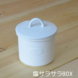 【塩サラサラBOX】塩　保存BOX　収納　有田焼　塩保存容器　塩　便利食器　おしゃれカフェ　おうちカフェ