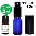 (郵送で送料無料)ガレージ・ゼロ ハッカ油 5ml+ガラス瓶 スプレーボトル10ml/和種薄荷/ジャパニーズミント/エッシェンシャルオイル