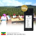 【100g】エチオピア グジ シャキソ G-1 ナチュラル(スペシャルティ/シングル/コーヒー豆)