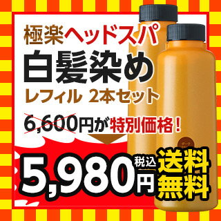 ≪送料無料≫白髪染め レフィーネ ヘッドスパ トリートメントカラーレフィル300g　2本セット☆お買い物マラソン限定☆今だけ特別価格！！