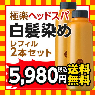 ≪送料無料≫白髪染め レフィーネ ヘッドスパ トリートメントカラーレフィル300g　2本セット