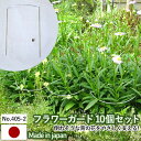 【フラワーガード10個セット No.405-2】 GREENGARDEN 支柱 ガーデニング用品 園芸用品 苗 植木 庭園 収穫 農業 緑 花 ガーデンファニチャー 小林金物 燕三条
