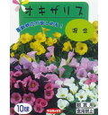 秋植え球根 オキザリス混合 10球
