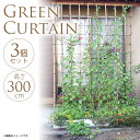晒し竹 大型グリーンカーテン 高さ300×幅180cm(10尺×6尺) 3個セット 【送料無料】