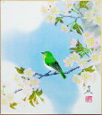 林　亜綜『桜に小禽』色紙絵