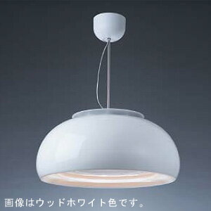 *富士工業* C-DRL501-[PRW / TW