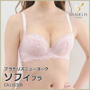 【30%OFF】2017秋冬 ブラデリス ニューヨーク ステ...