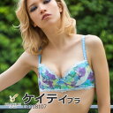 【30】【送料無料】育乳ブラ 補整ブラ ブラジャー 2018春夏CA118107 ブラデリス ブルー ピンク STEP1 ステップ1B65 B70 B75 C65 C70 C75 D65 D70 D75 E65 E70 E75 F65 F70 F75【BRADELIS NEW YORK◆ケイティブラ】【NB】【P15】