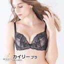 【送料無料】育乳ブラ 補整ブラ ブラジャー 2018秋冬 CA118119ブラデリス カイリー ブラック モカ ラベンダー STEP2 ステップ2 B65 B70 B75 C65 C70 C75 D65 D70 D75 E65 E70 E75 F65 F70 F75【BRADELIS NEW YORK◆カイリーブラ】【NB】【P15】