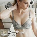 【送料無料】2018秋冬 育乳ブラ 補整ブラ ブラジャーCA118309ブラデリス ニューヨーク ブルーグレー バーガンディ STEP1 ステップ1 B65 B70 B75 C65 C70 C75 D65 D70 D75 E65 E70 E75 F65 F70 F75【BRADELIS NEW YORK◆ミーナブラ】【NB】【P15】