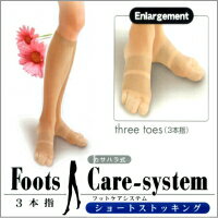ΤˤʤءFootsCare-Systemեåȥƥ۳ȿкϥåʤҤ3ܻإ