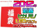 ◆2012年新春福袋 LEDバルブ等ヒカリもの側面LEDテープ等♪総額8000円以上のお楽しみセット！