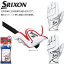 【送料無料 メール便】【2017年継続モデル】 ダンロップ スリクソン SRIXON GGG-S016 メンズ グローブ