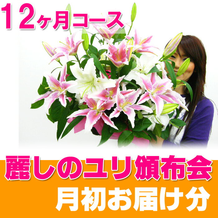 花 福袋　12ヶ月コースは初回1000円引き！麗しユリの福袋　ユリの産地や香りの違いわかる！ 定期 頒布 切花花 福袋 送料無料 定期 頒布 切花