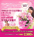 しあわせピンクゆりのゴージャスブーケ（ユリの花束）　母の日に贈って嬉しい2980円！花宅配便・母の日/花豪華なお花♪ピンクのユリは母の日に贈っちゃおう！女性に大人気の花束！