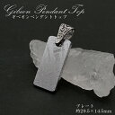 【一点物】 ギベオン プレート 隕石 gibeon シルバー 真鍮 ペンダントトップ 天然石 パワーストーン カラーストーン プラチナ