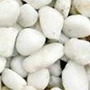 【送料無料】【和風本玉石】白玉石【5分(16~20mm)】【20kg】※代引き不可商品※【K】