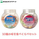 【2022年入荷】 数量限定 ランドアート 塩タブレット 10種の味を食べくらべセット (塩タブレット5兄弟ポット+クールMIXポット)