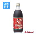   @100GLXʏ` 500ml6{Zk cnj[UNW[X W[XLO1