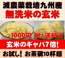 28年新米【1000円ポッキリ送料無料】白米モード楽々炊飯!圧倒的に美味しい減農薬の玄氣900g(6合お試し真空パック)【減農薬 玄米 発芽玄米 無洗米】佐賀県知事認証特別栽培米※メール便限定【免疫ビタミンLPSリポポリサッカライド】