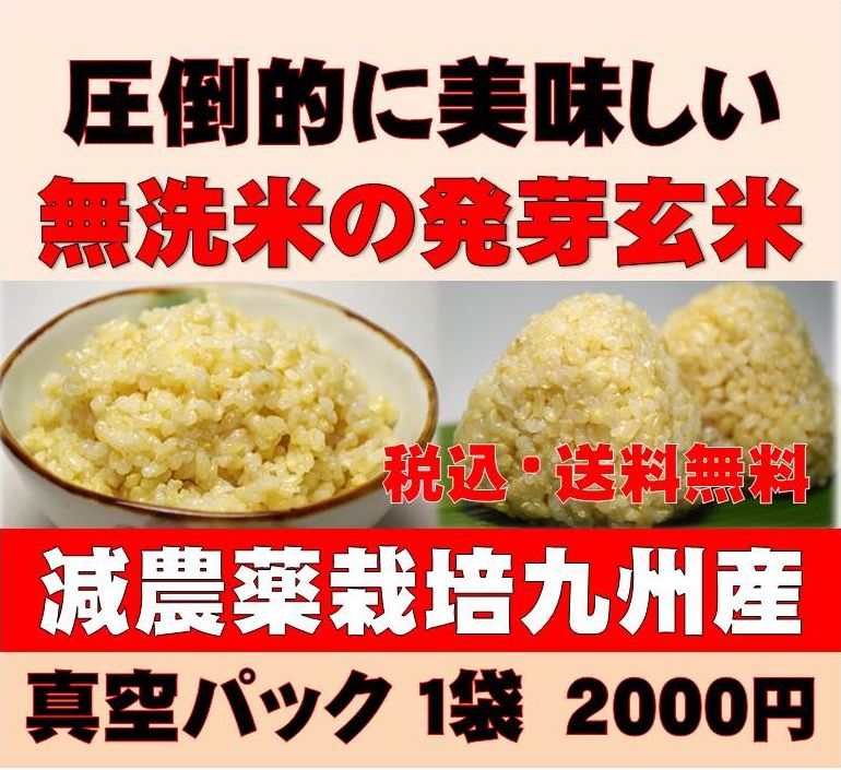 【28年新米】白米モード楽々炊飯 圧倒的に美味しい減農薬の玄氣1.5kg真空パック【減農薬 玄米 発...:genki-genmai:10000070