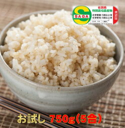 <strong>お試しサイズ</strong>白米モード楽々炊飯！圧倒的に美味しい特別栽培の玄氣750g（5合・真空パック）【玄米 発芽玄米 無洗米】佐賀県産・特別栽培米ネコポス発送（ポスト投函）限定