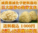 【ポイント10倍】1000円ポッキリ送料無料【至高の玄氣】減農薬・巨大胚芽の発芽玄米75
